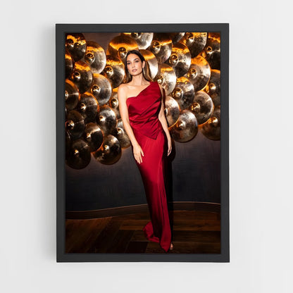 ap-lily aldridge-4 cadre Noir