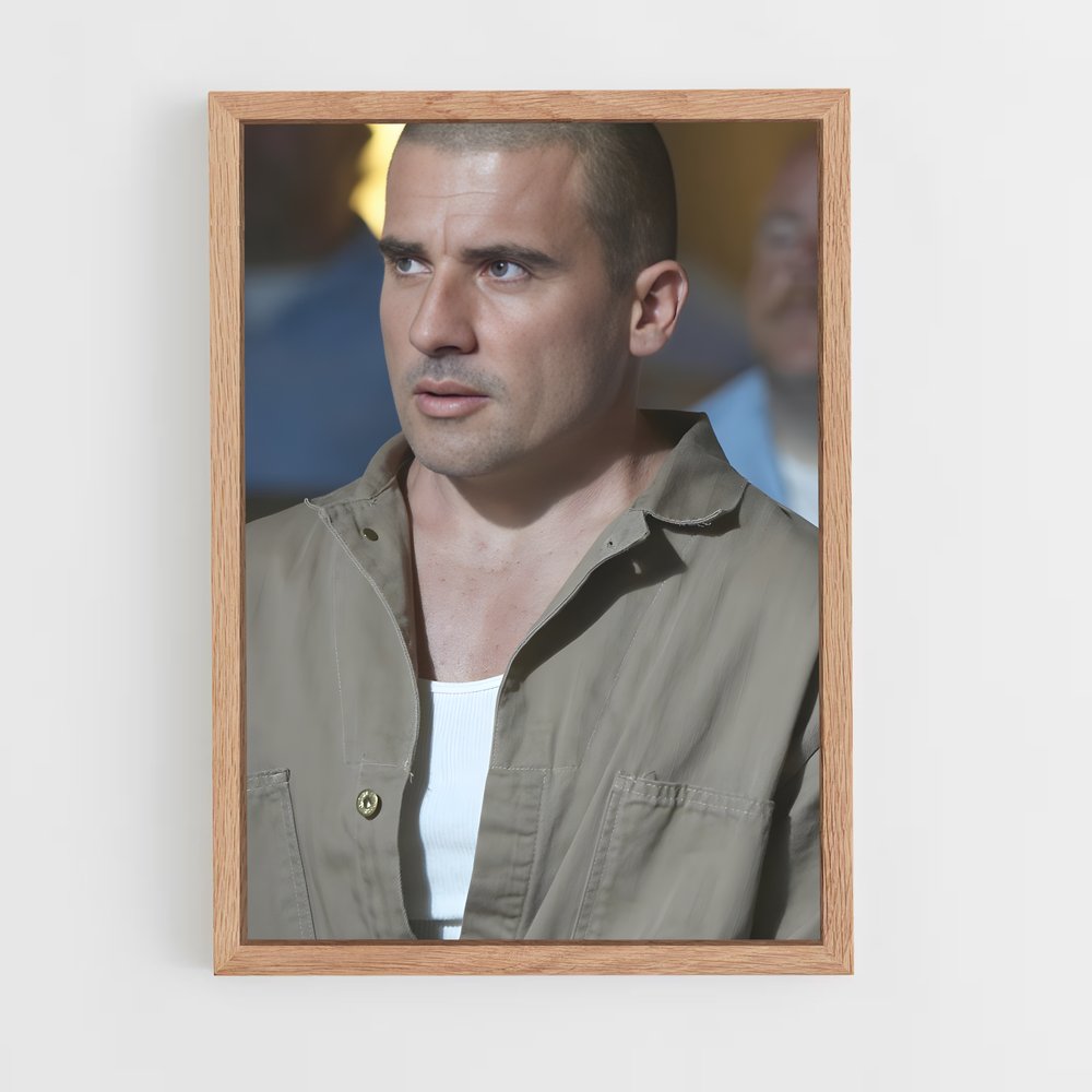 ap-lincoln burrows-2 cadre Bois clair