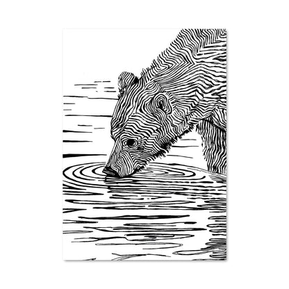 Poster Zèbre Aquatique
