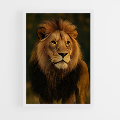 ap-lion-1 cadre Blanc