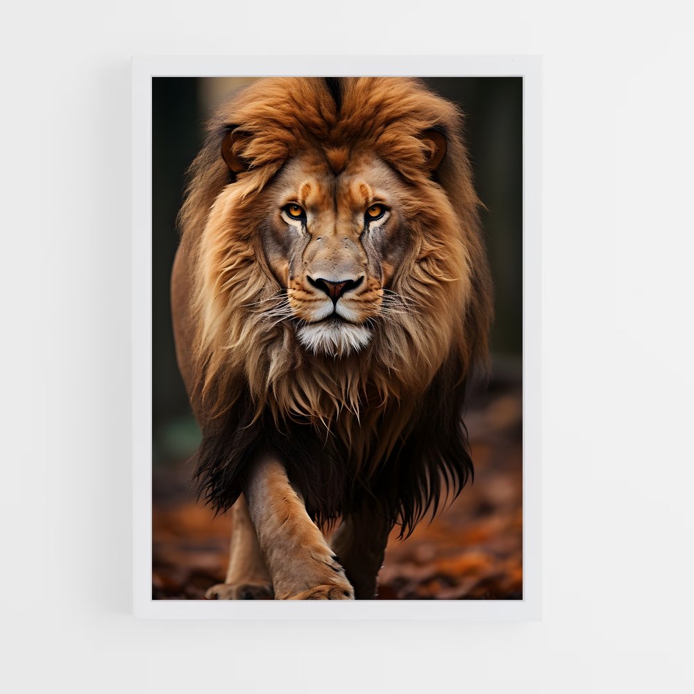 ap-lion-4 cadre Blanc