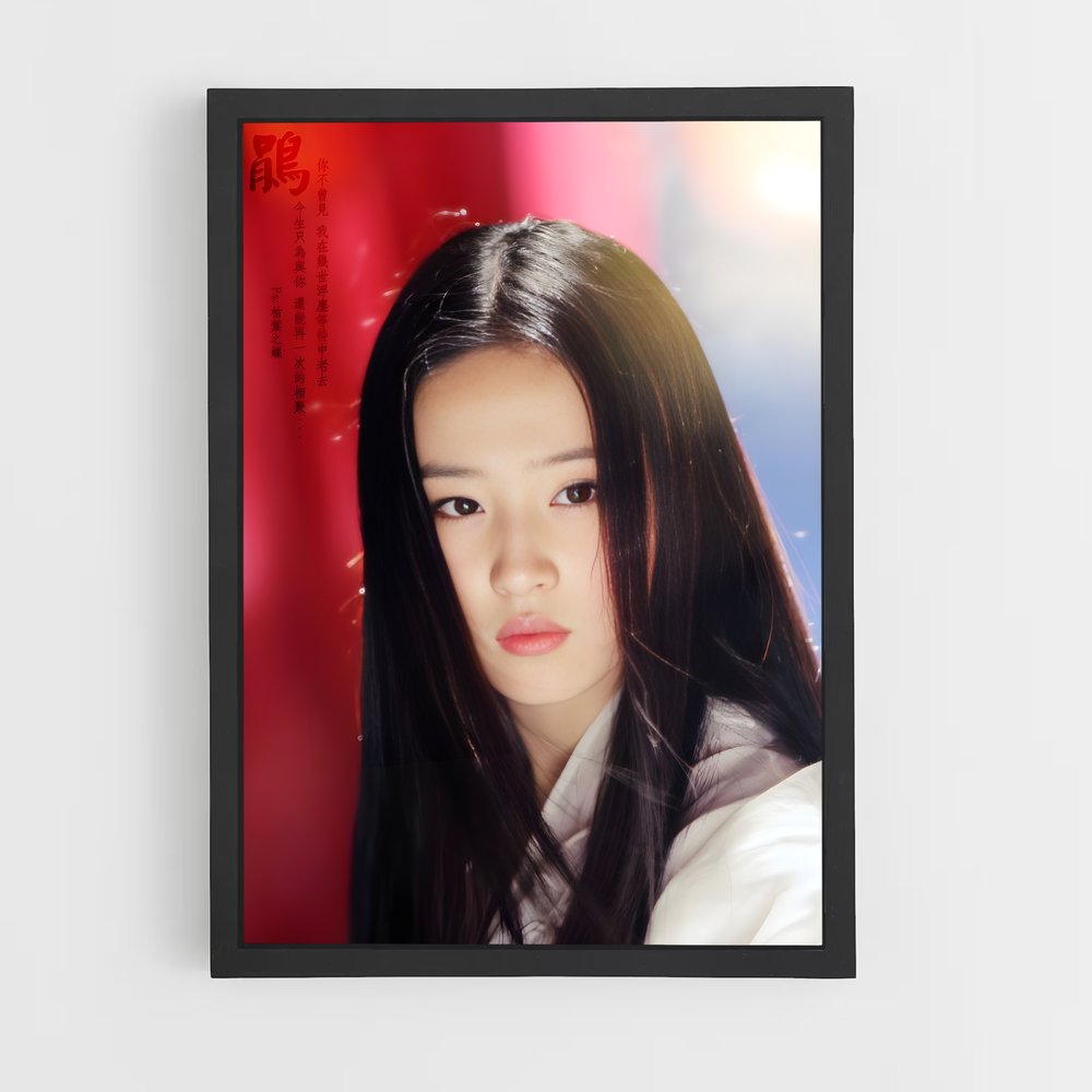 ap-liu yifei-1 cadre Noir