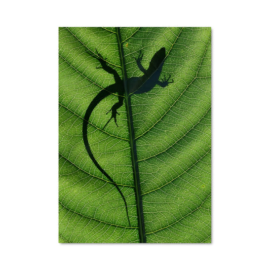 Poster Lézard Émeraude