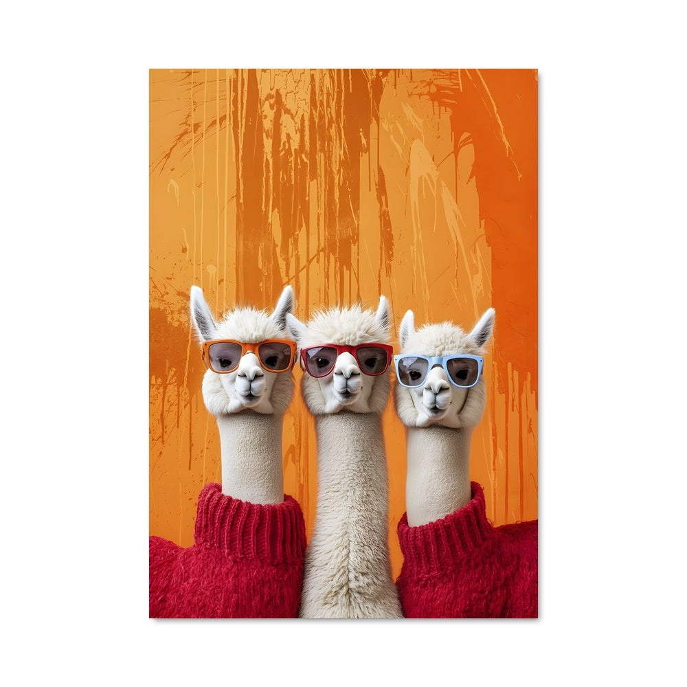 Poster Llamas Cool