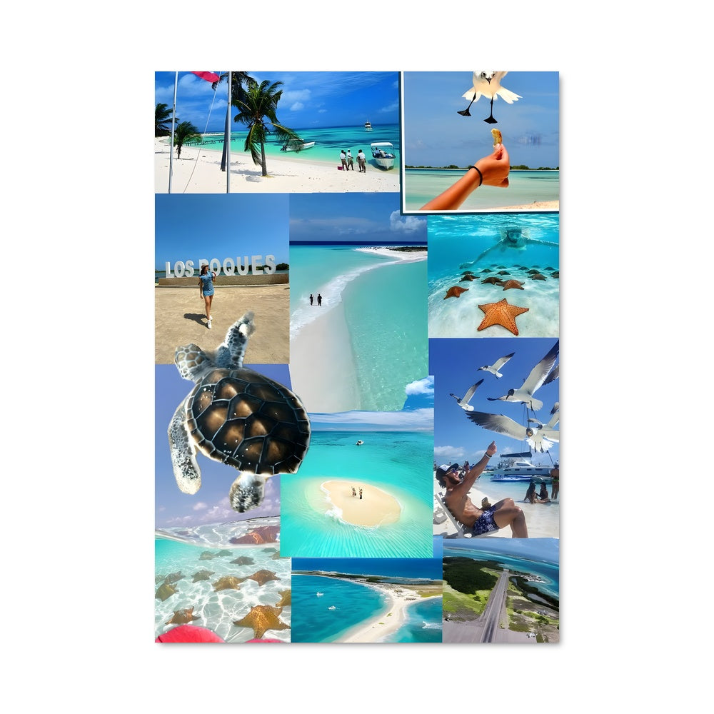 Poster Paradis de Los Roques