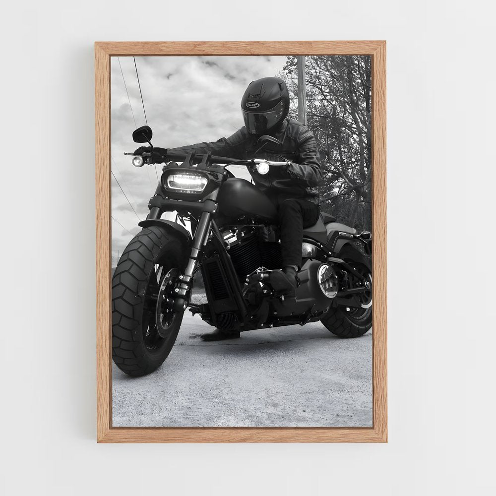 ap-low rider s-3 cadre Bois clair