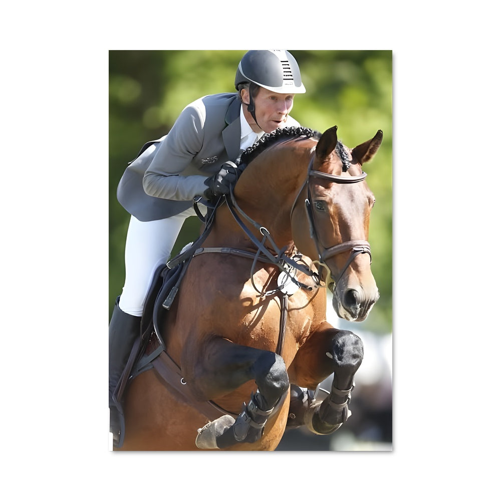 Poster Ludger beerbaum 67370
