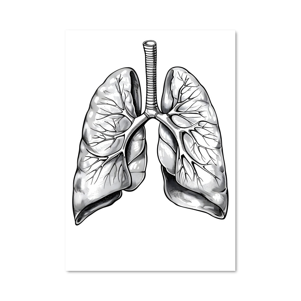 Poster Respiration Artiste