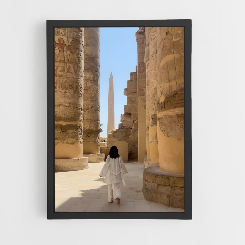 ap-luxor-2 cadre Noir
