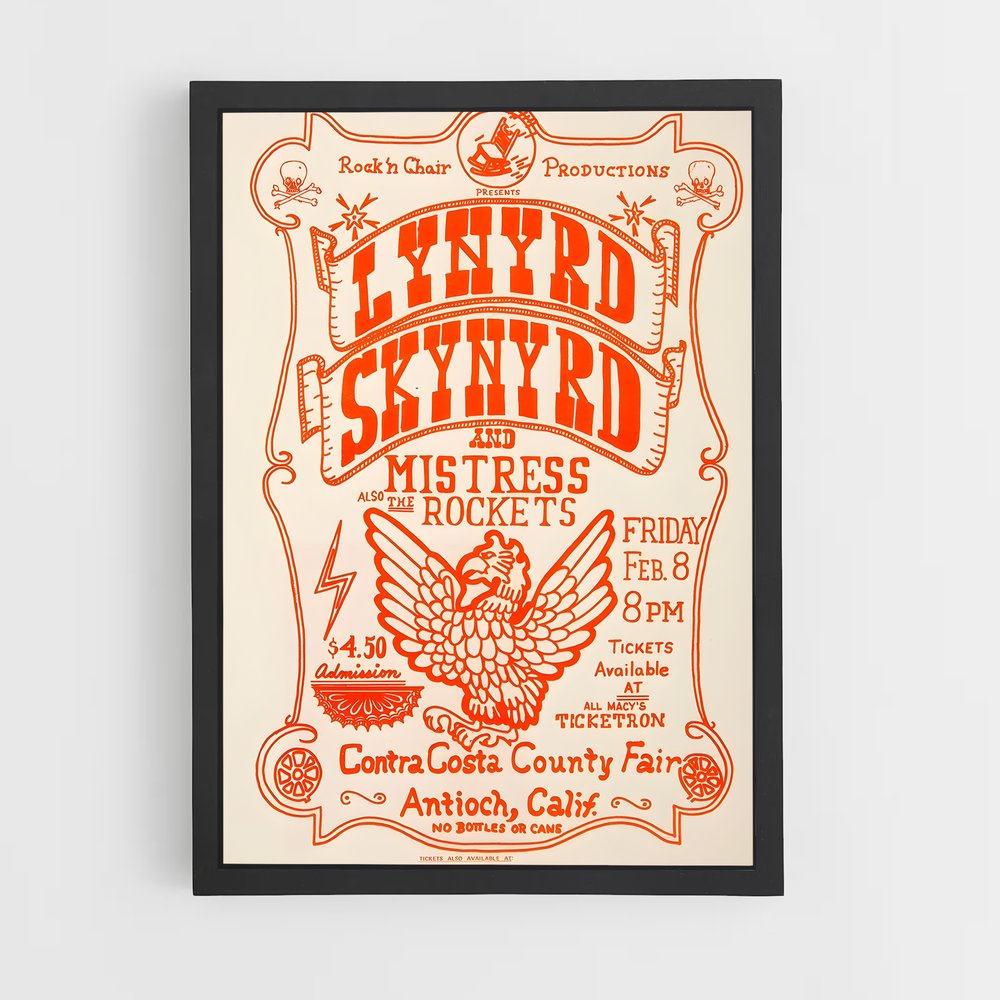 ap-lynyrd skynyrd-2 cadre Noir