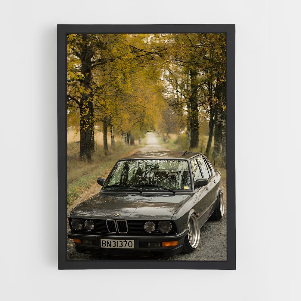 ap-m5 e28-1 cadre Noir