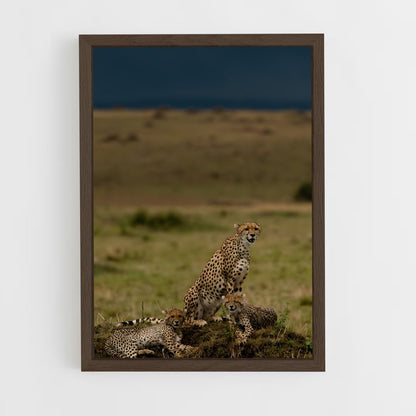 ap-maasai mara national reserve-2 cadre Bois foncé