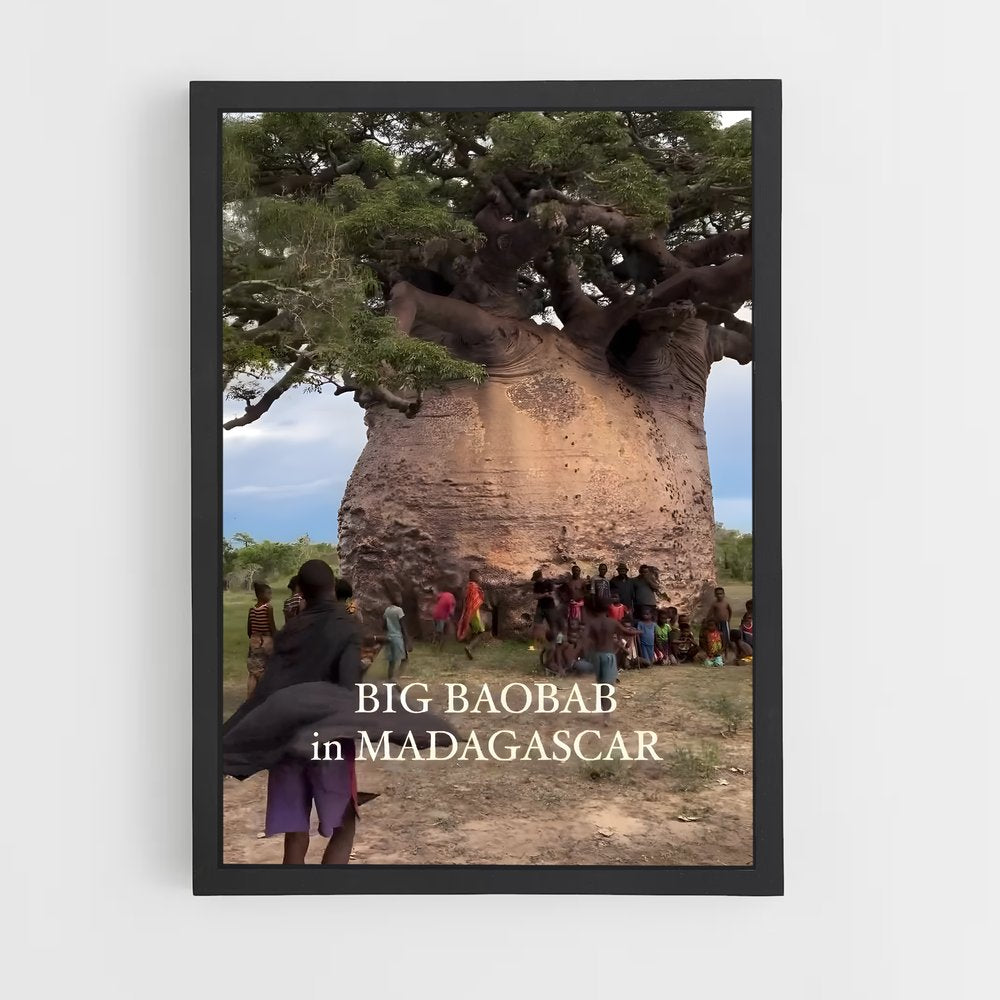 ap-madagascar-12 cadre Noir
