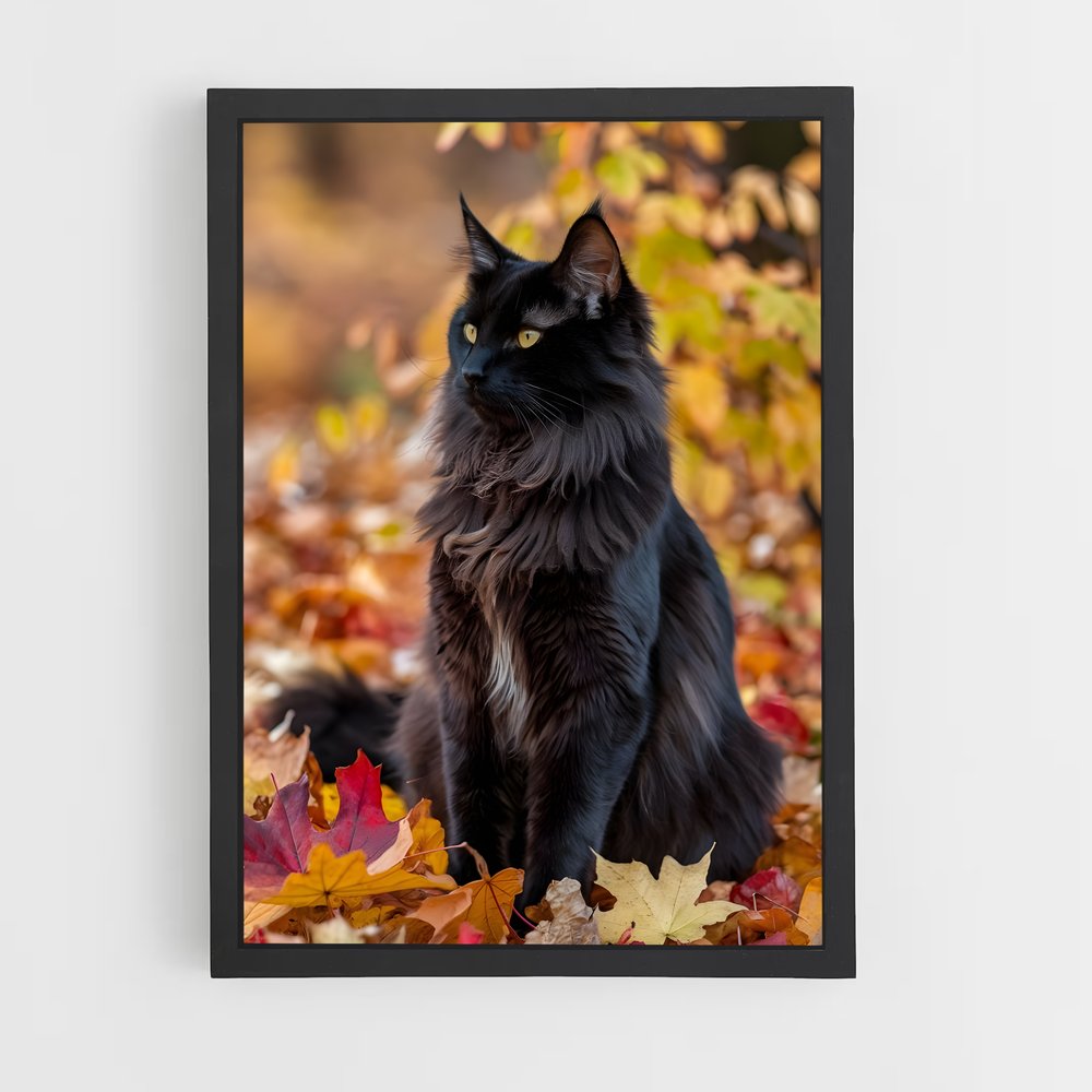 ap-maine coon-10 cadre Noir