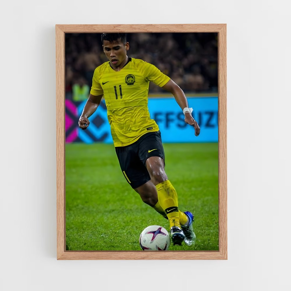 ap-malaysia national football team-6 cadre Bois clair
