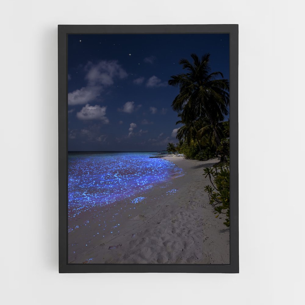 ap-maldives-1 cadre Noir