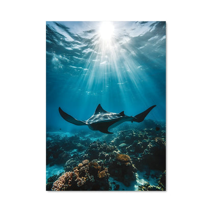 Poster Maldives diving 67993