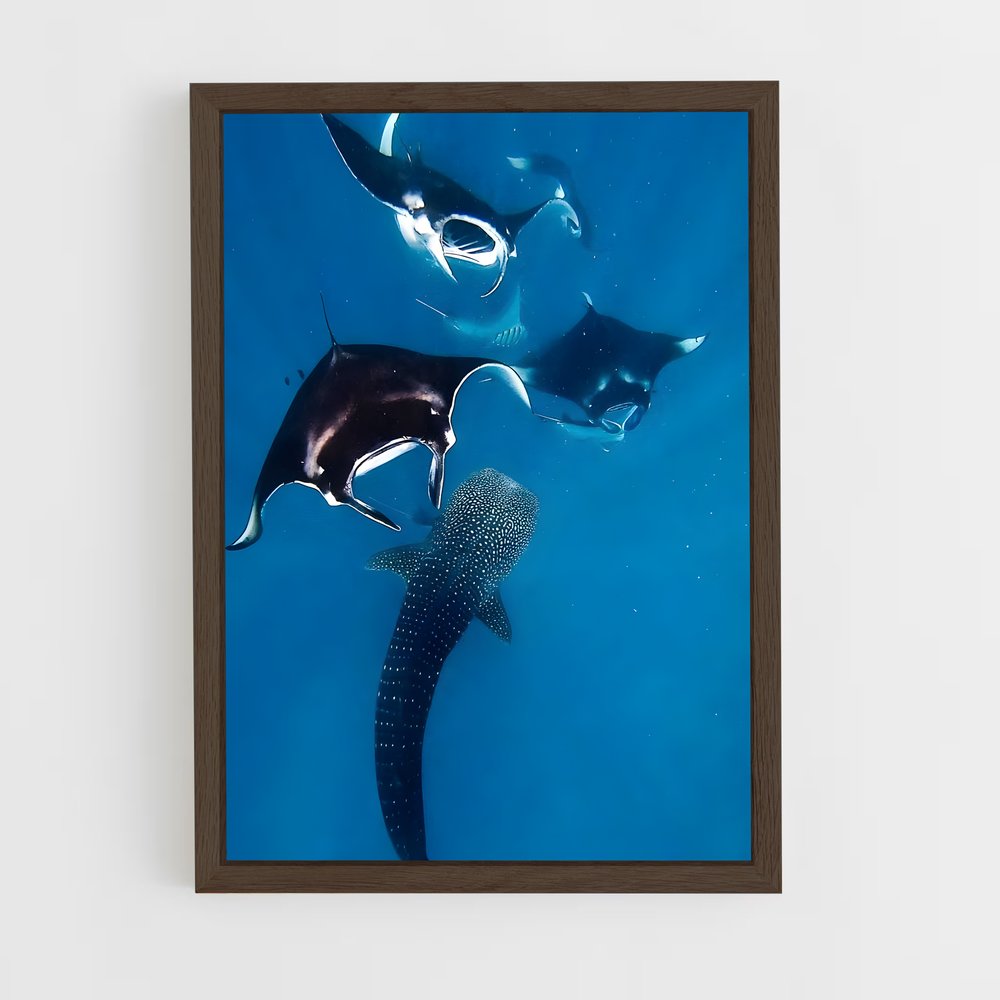 ap-maldives diving-1 cadre Bois foncé