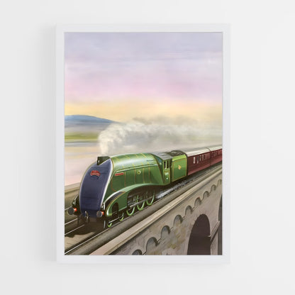ap-mallard-1 cadre Blanc