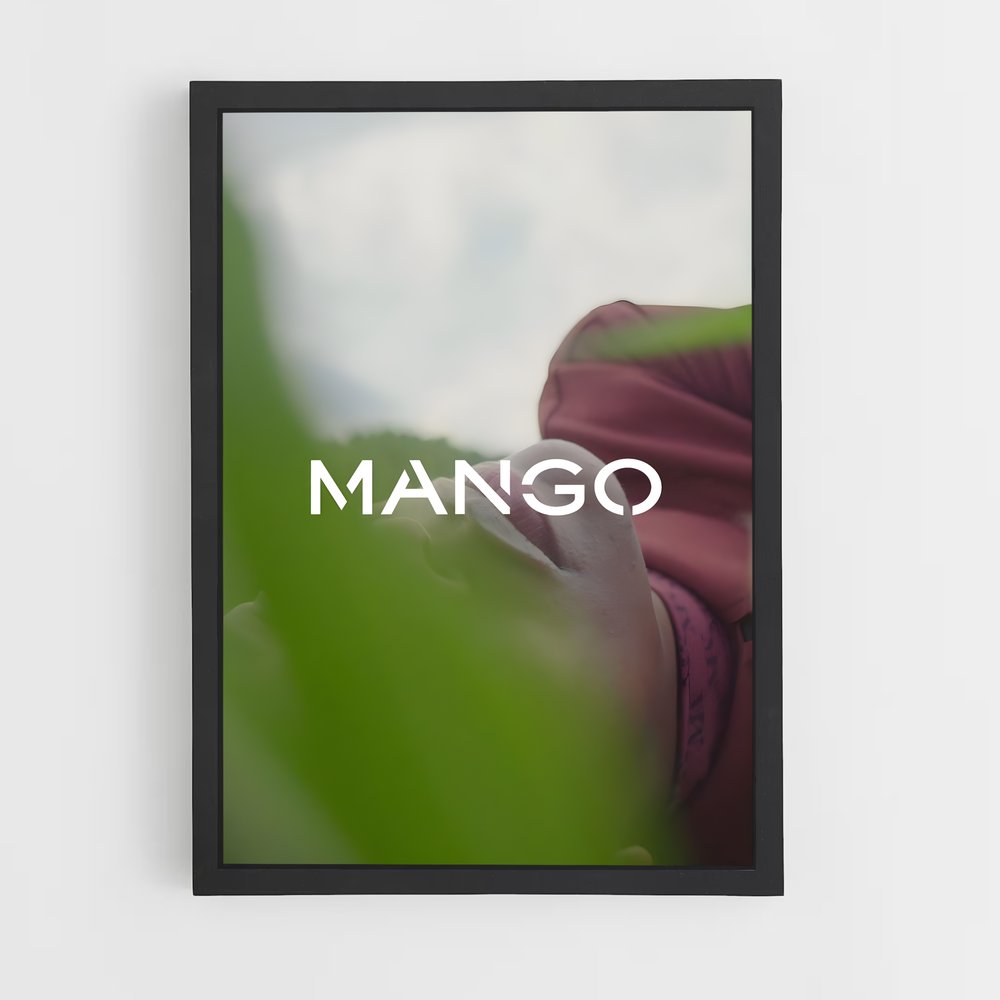 ap-mango-1 cadre Noir