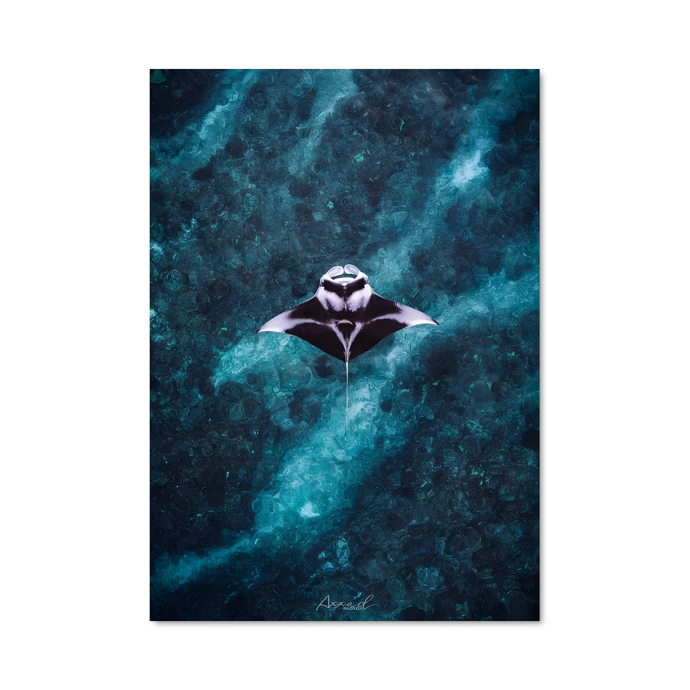 Poster L'Envol du Marin