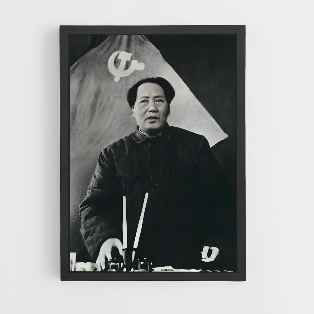 ap-mao zedong-2 cadre Noir