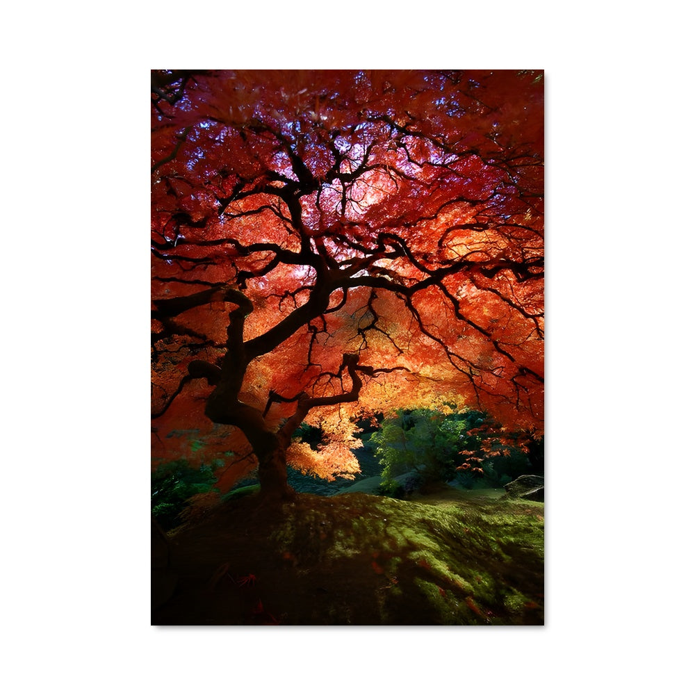 Poster Écorce d'Automne