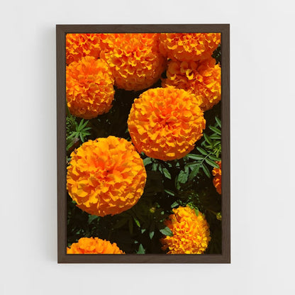 ap-marigold-2 cadre Bois foncé