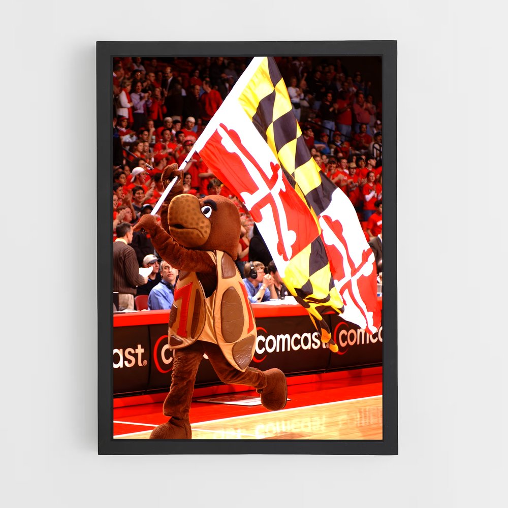 ap-maryland terrapins-1 cadre Noir