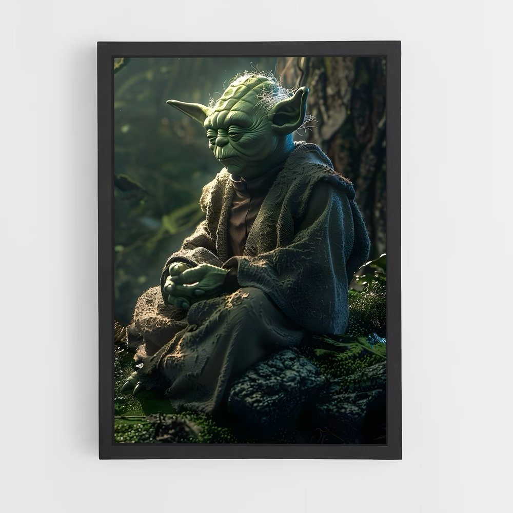 ap-master yoda-5 cadre Noir