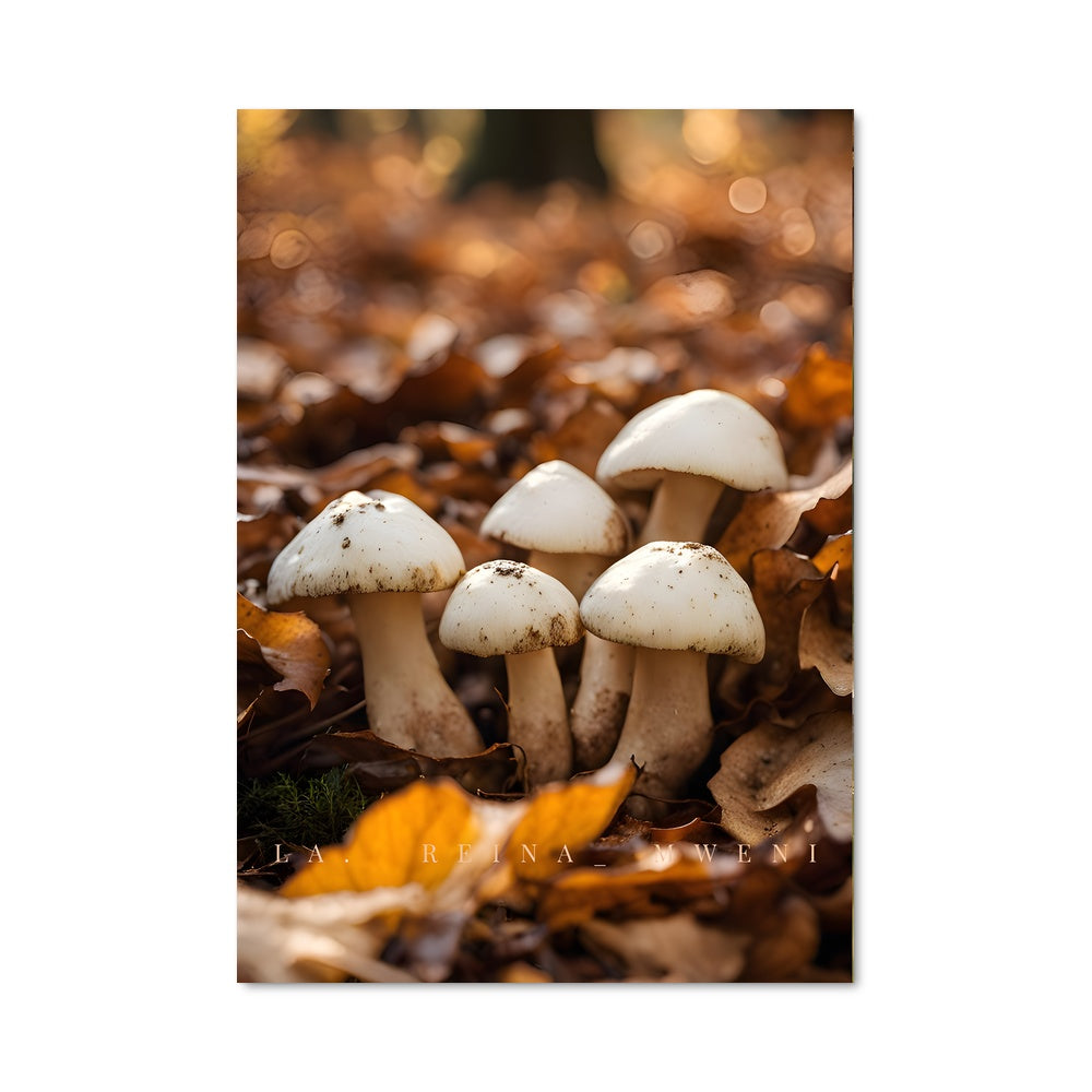 Poster Sous les Champignons