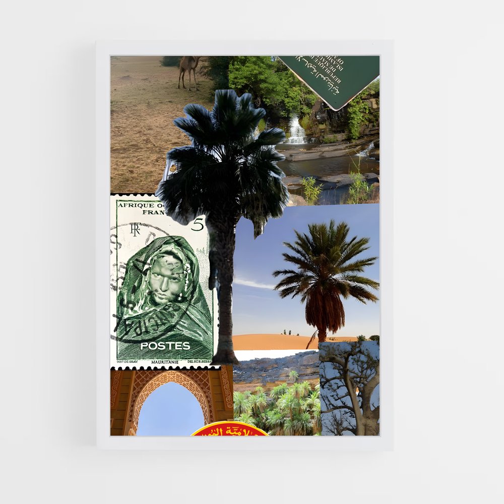 ap-mauritania-5 cadre Blanc