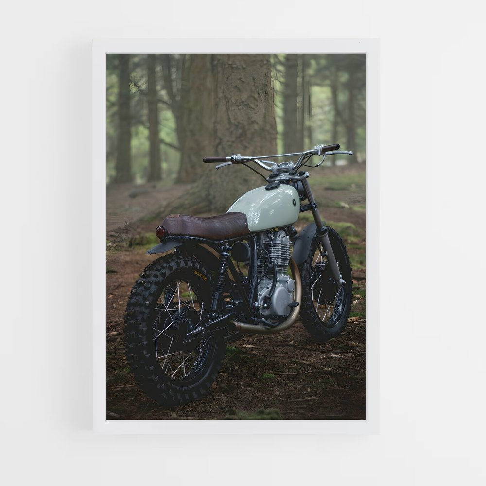 ap-mc 125-4 cadre Blanc