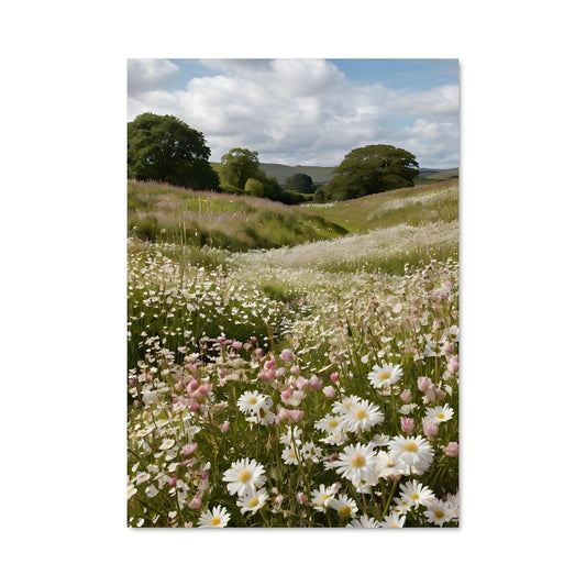 Poster Champs de Marguerites