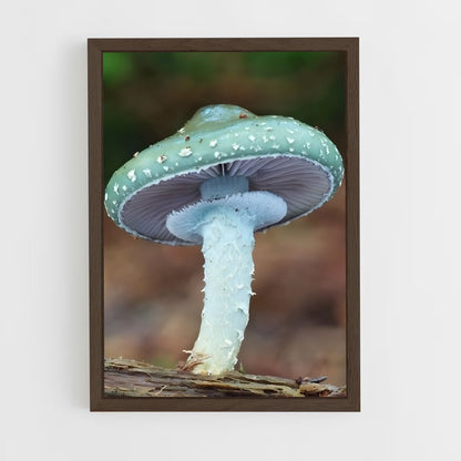 ap-meadow mushroom-2 cadre Bois foncé