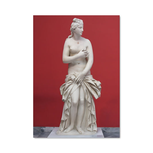 Poster Medici venus 20054