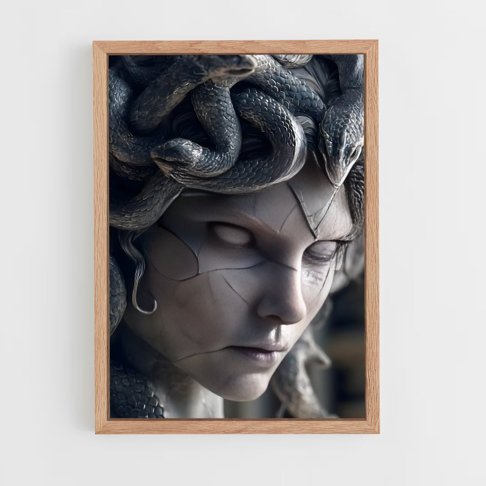ap-medusa-2 cadre Bois clair