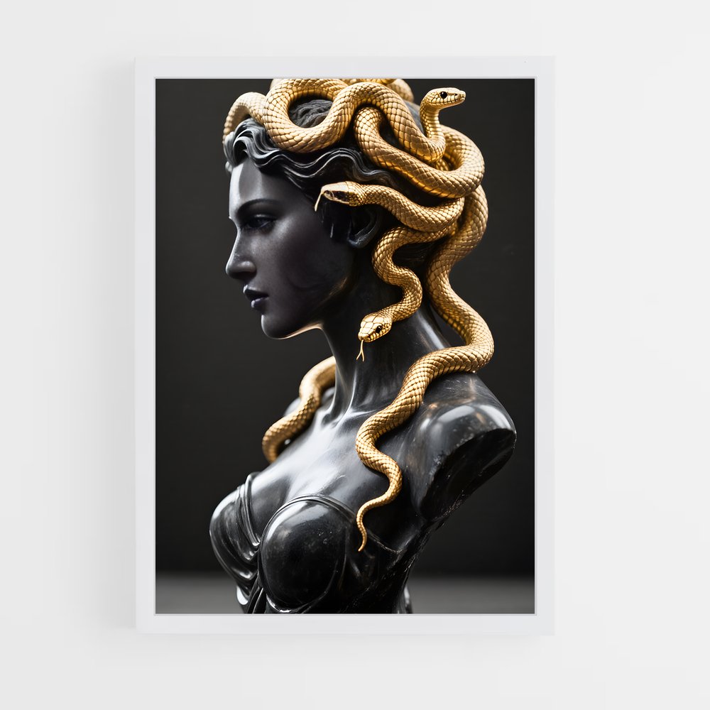 ap-medusa-8 cadre Blanc
