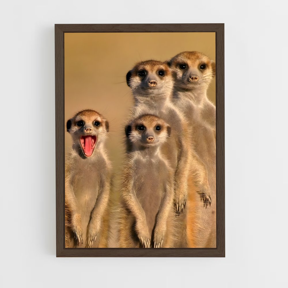 ap-meerkat-3 cadre Bois foncé