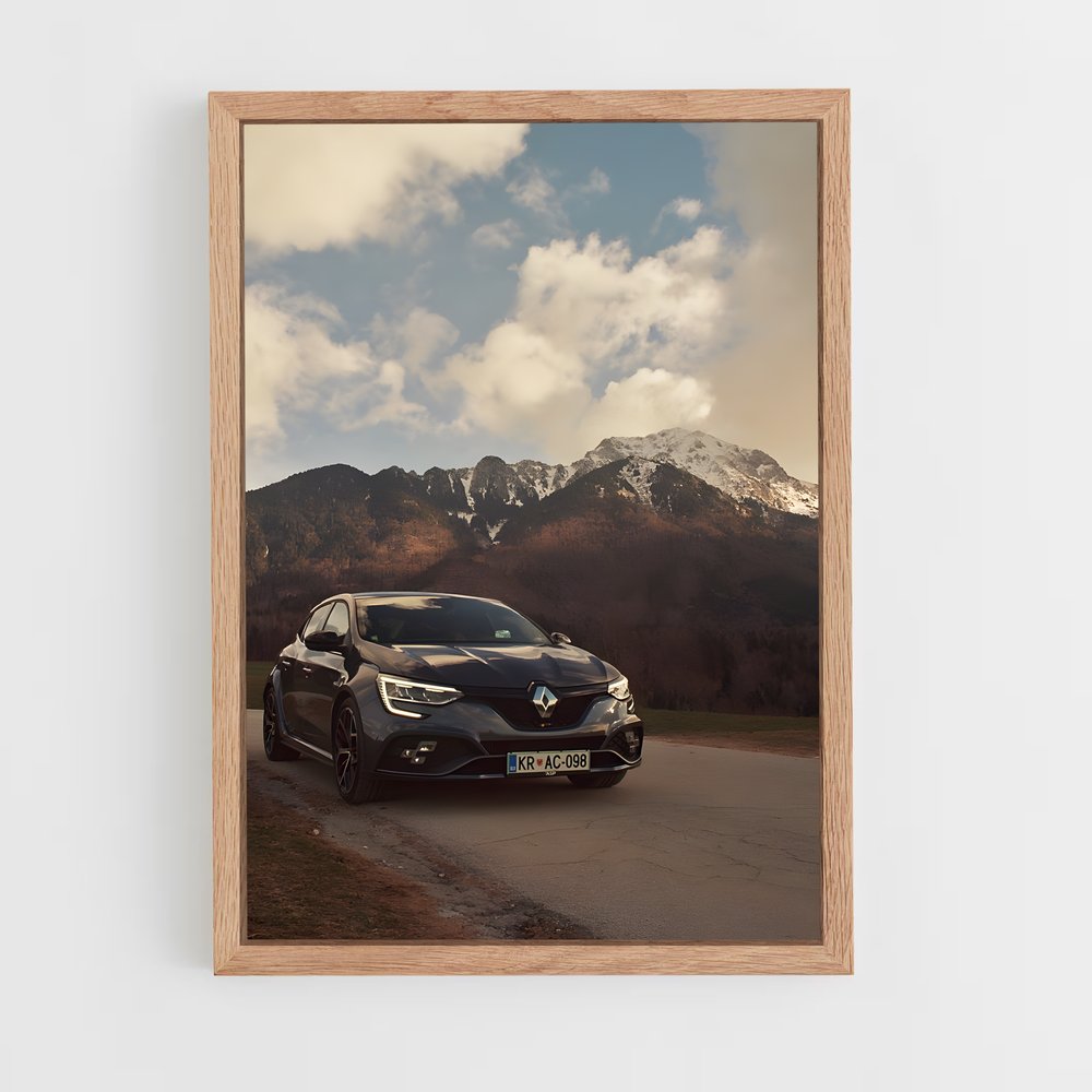 ap-megane rs trophy-1 cadre Bois clair