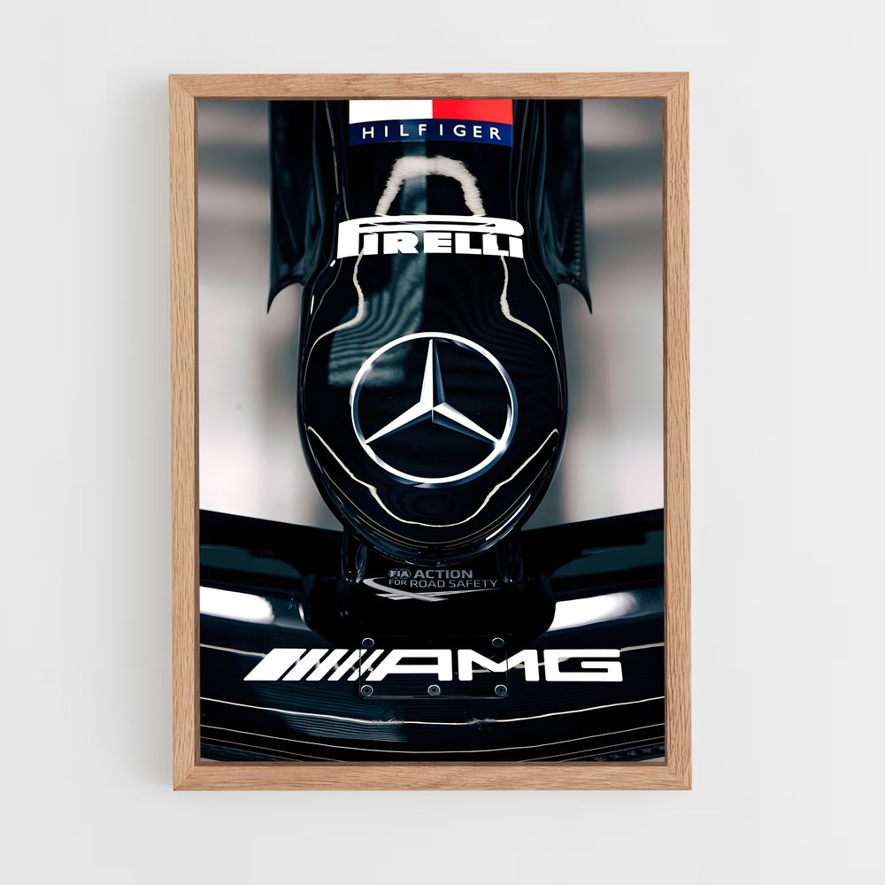 ap-mercedes w12-11 cadre Bois clair