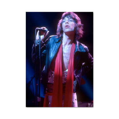 Poster Mick jagger 56430