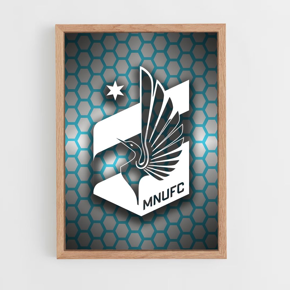 ap-minnesota united fc-8 cadre Bois clair