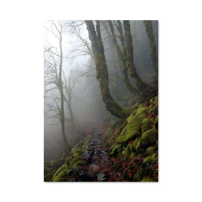 Poster Sentier Brumeux
