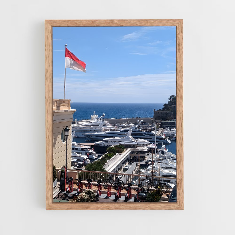 ap-monte carlo-12 cadre Bois clair