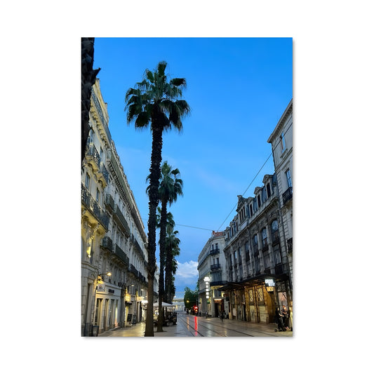 Poster Palmier Urbain