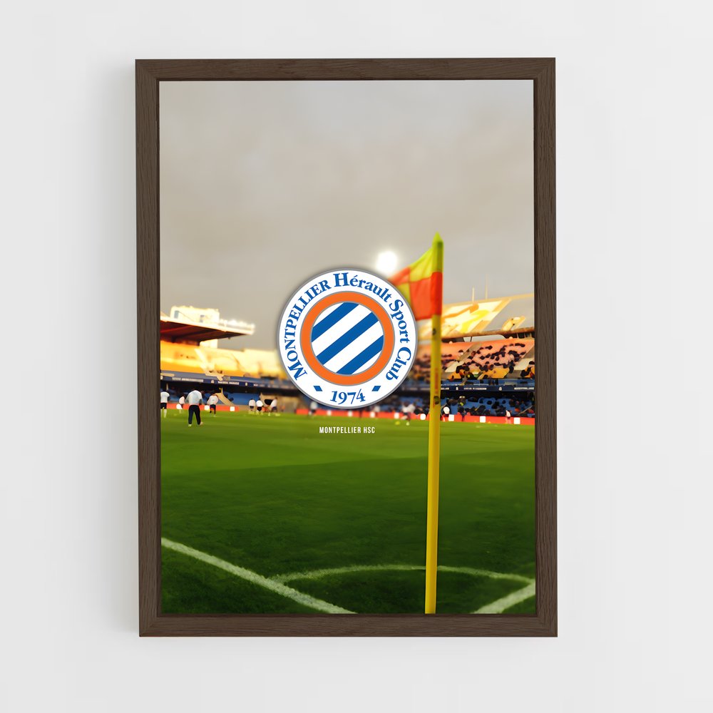 ap-montpellier hsc-4 cadre Bois foncé