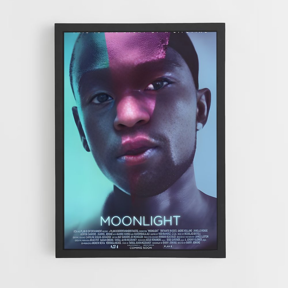 ap-moonlight-1 cadre Noir
