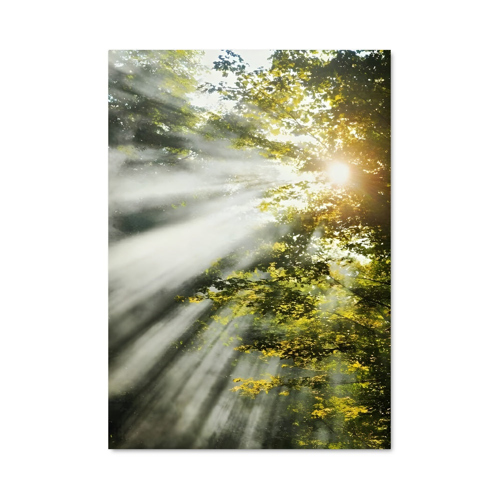 Poster Lumière de l'Aube