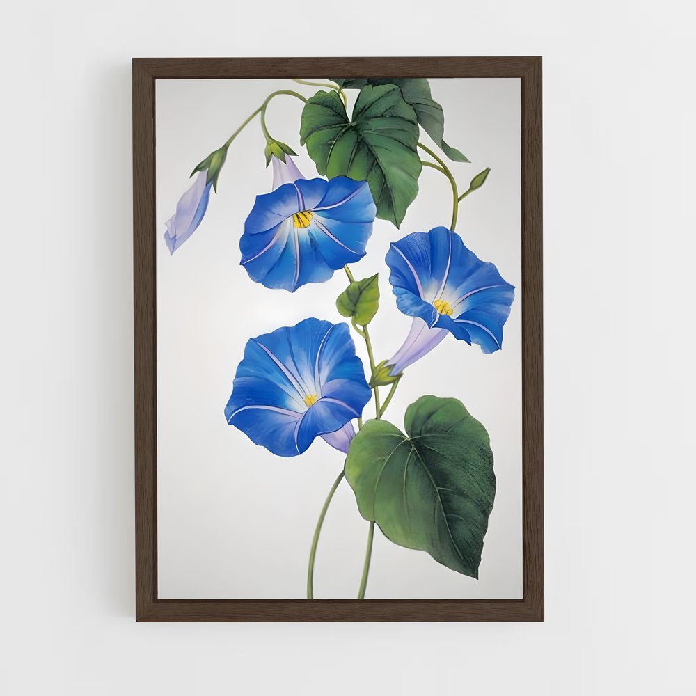 ap-morning glory-4 cadre Bois foncé